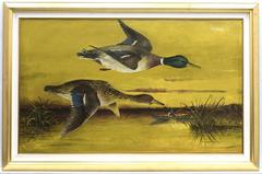 Mallard Ducks Over the Grand River