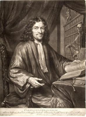 Cornelis Gravezande, Physician