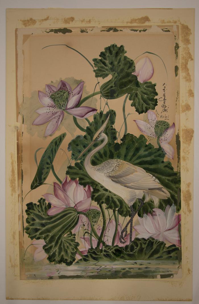 Heron and Lotuses