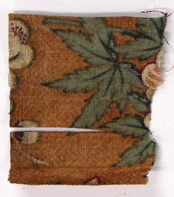 Fragment of Printed Cloth