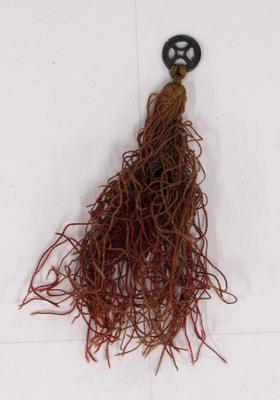 Tassel with Button