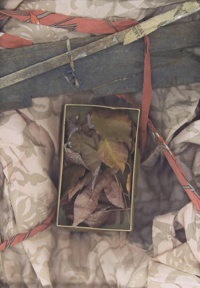 Box of Leaves