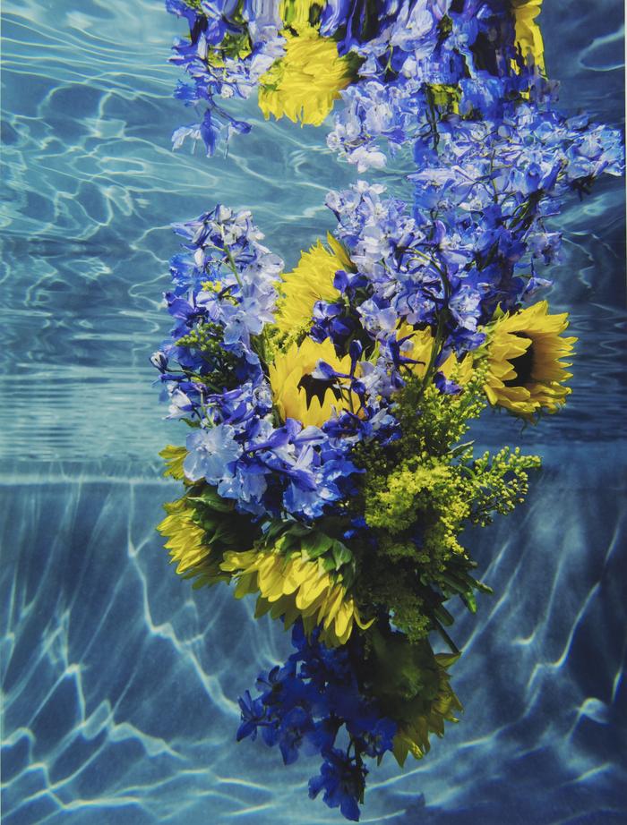 Sunflowers #12