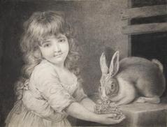 The Favorite Rabbit
