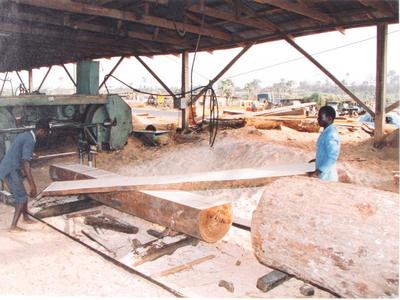 Sawmill - Ibadan, Nigeria