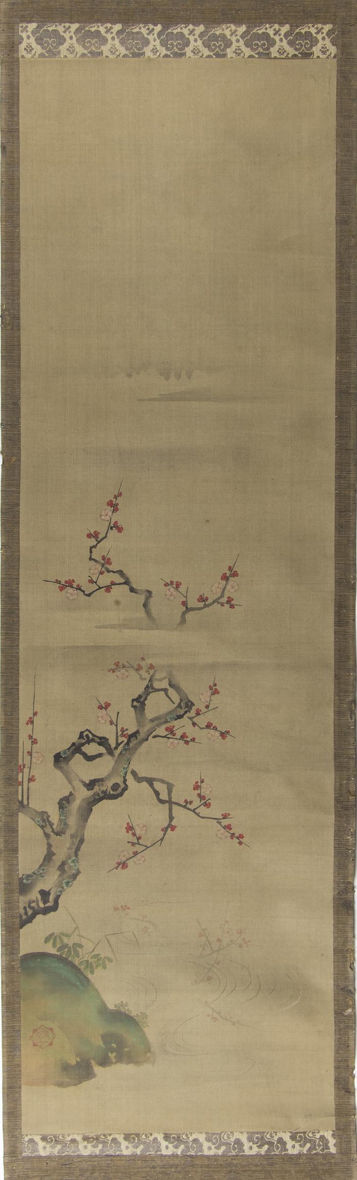 Prunus Blossoms