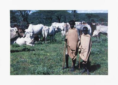 Two Boys Guarding Cattle