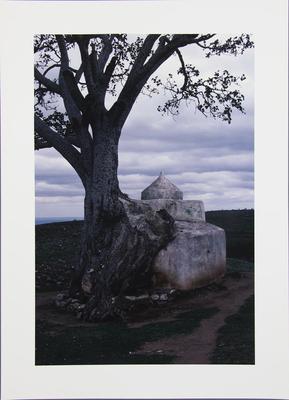 Tree and Carved Rock