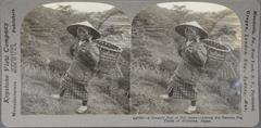 A Country Girl of Old Japan- Among the Famous Tea Fields of Shizouka, Japan