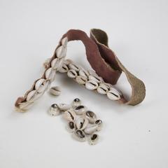 Cowrie Shells / Trade Beads